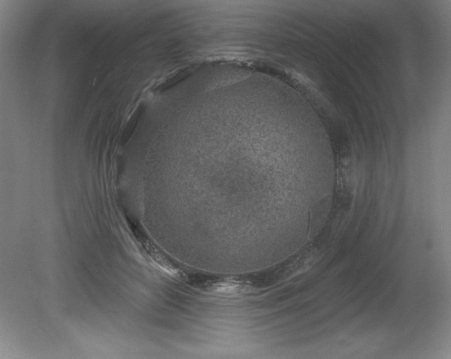 X0000081560504200701221030