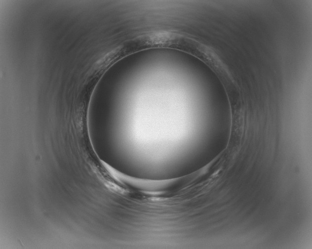 X0000081560505200701221030