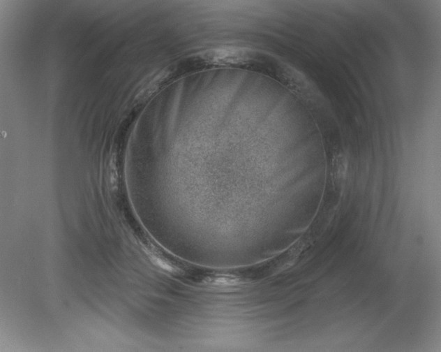 X0000081560506200701221030