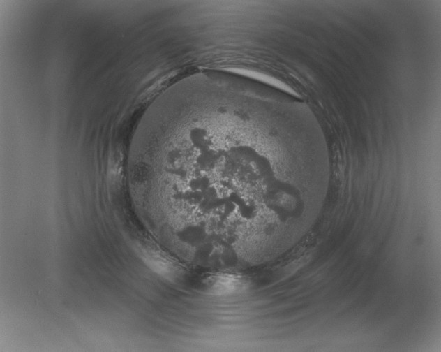 X0000081560507200701221030