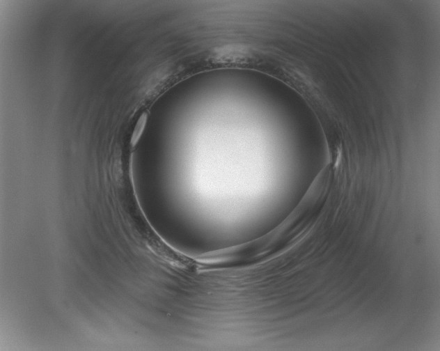 X0000081560508200701221030