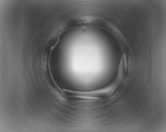 X0000081560509200701221030