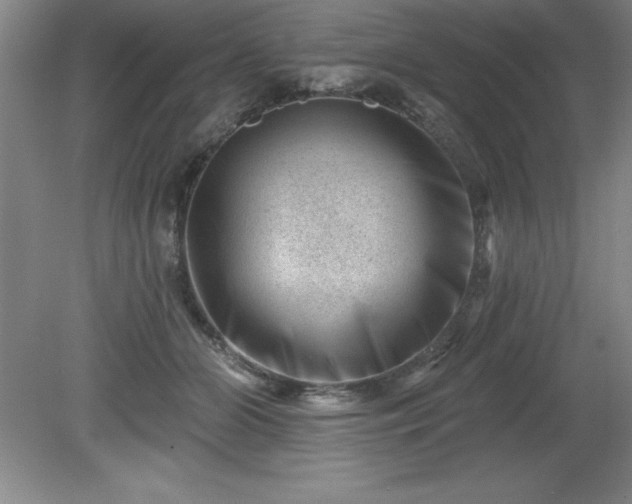 X0000081560510200701221030