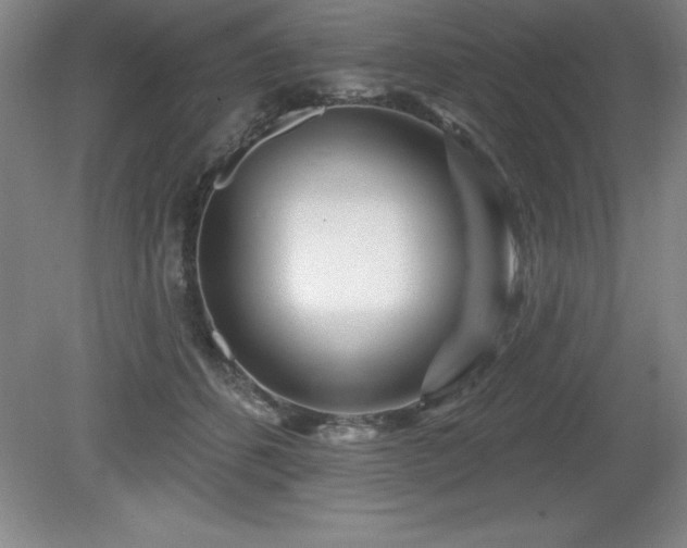 X0000081560512200701221030