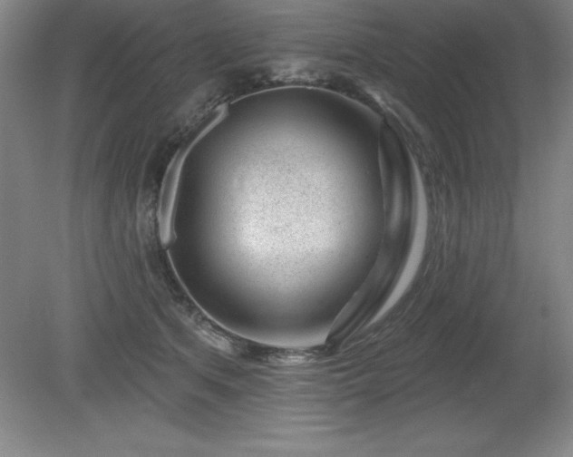 X0000081560513200701221030