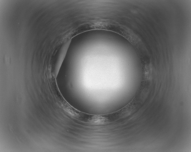 X0000081560514200701221030