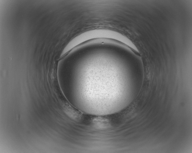 X0000081560515200701221030