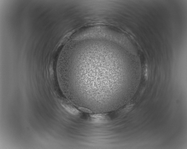 X0000081560516200701221030