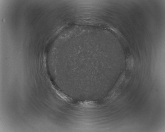 X0000081560517200701221030