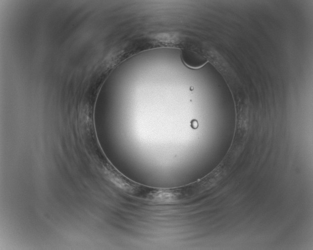 X0000081560518200701221030