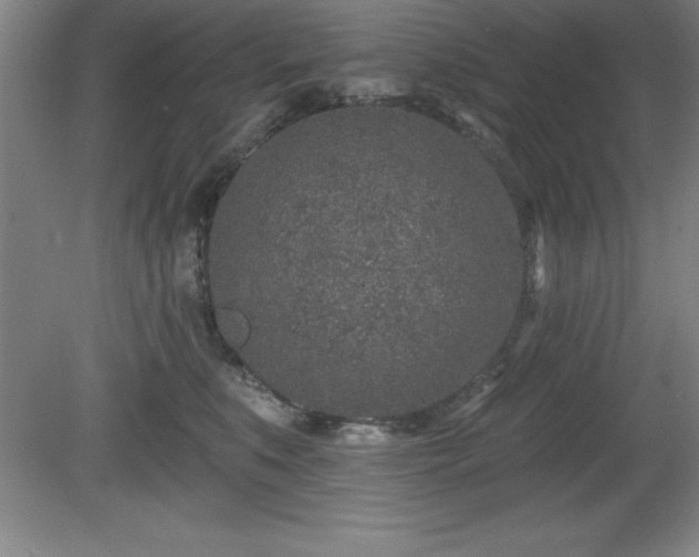 X0000081560519200701221030