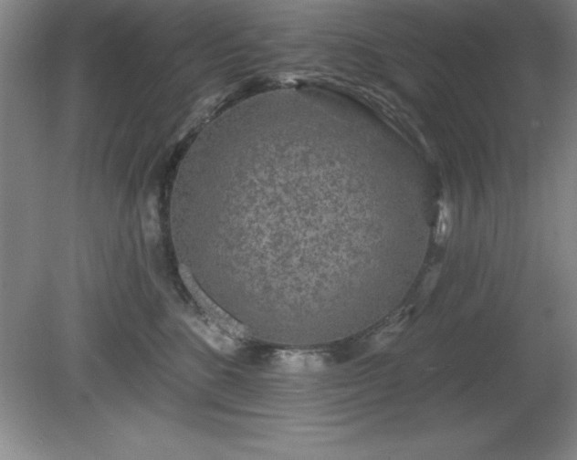 X0000081560520200701221030