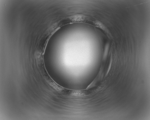 X0000081560521200701221030