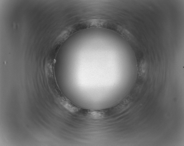 X0000081560522200701221030