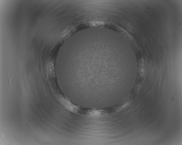 X0000081560523200701221030