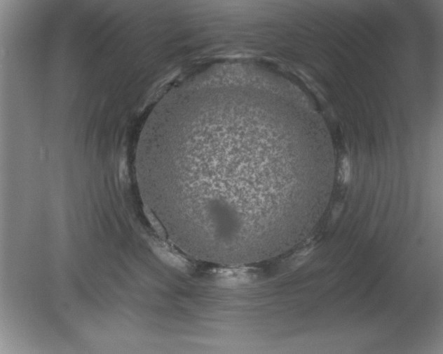 X0000081560524200701221030