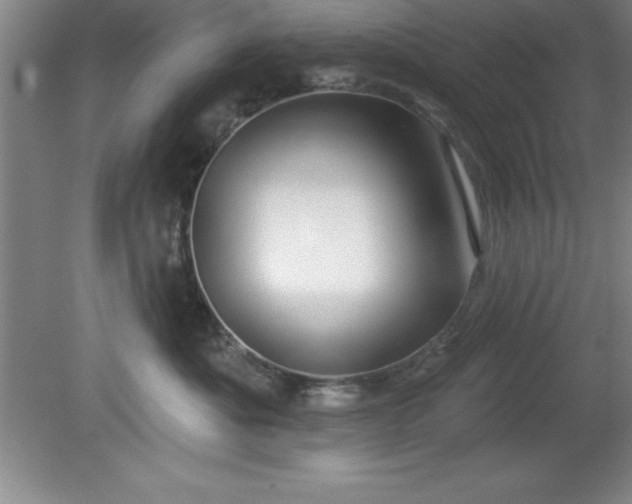 X0000081560525200701221030