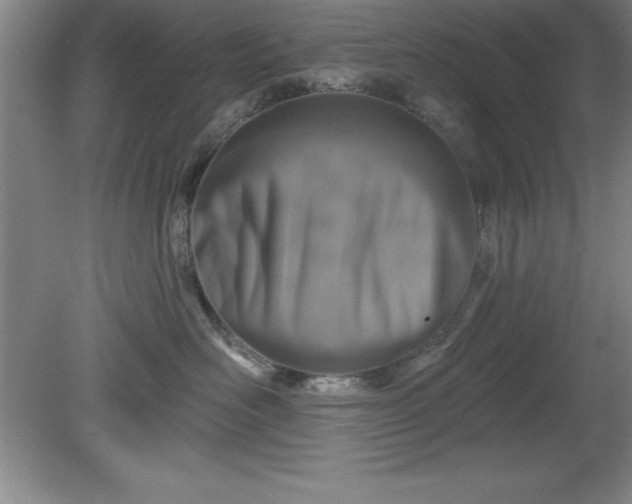 X0000081560526200701221030