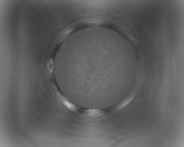 X0000081560528200701221030