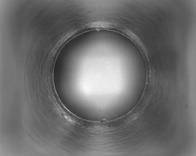 X0000081560529200701221029