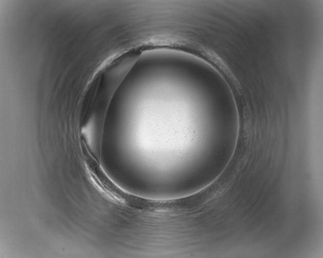 X0000081560530200701221029