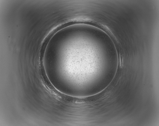 X0000081560531200701221029