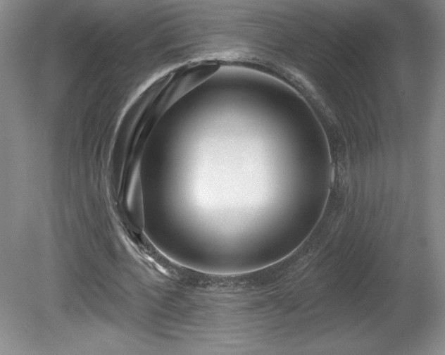 X0000081560532200701221029