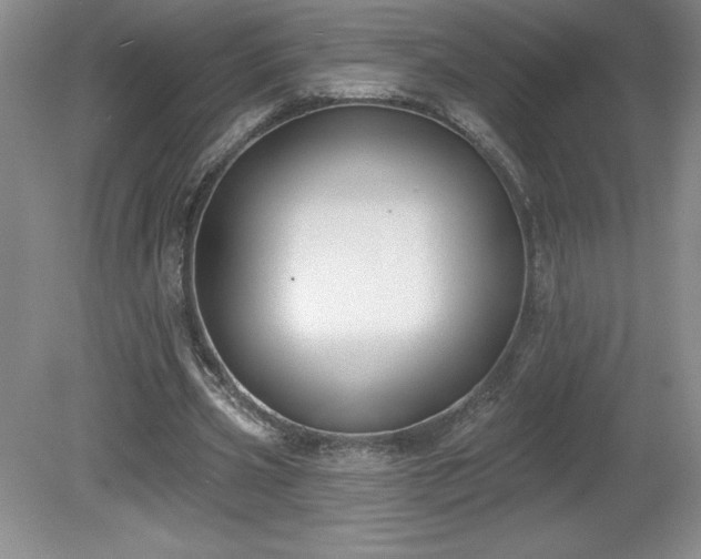 X0000081560533200701221029