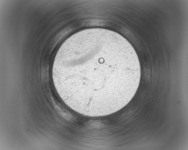 X0000081560534200701221029