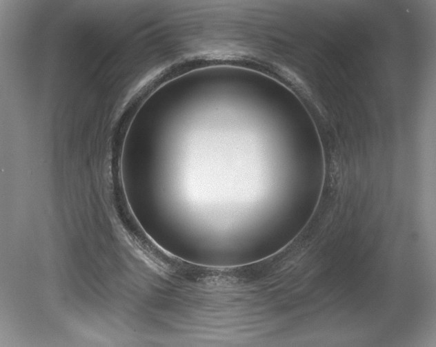 X0000081560535200701221029