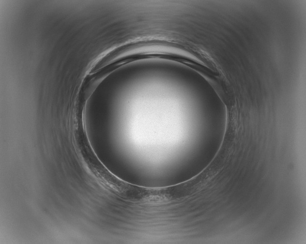 X0000081560536200701221029