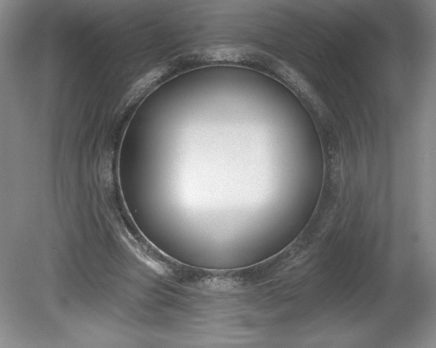 X0000081560537200701221029