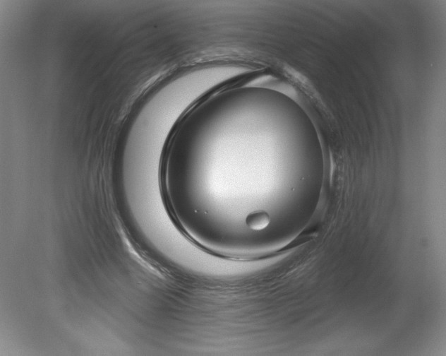 X0000081560538200701221029