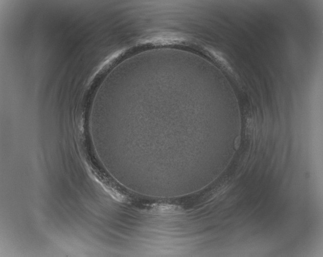 X0000081560539200701221029