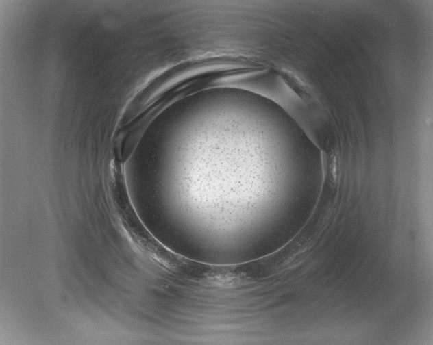 X0000081560540200701221029