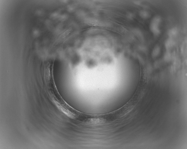 X0000081560541200701221029