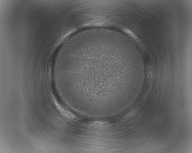 X0000081560542200701221029