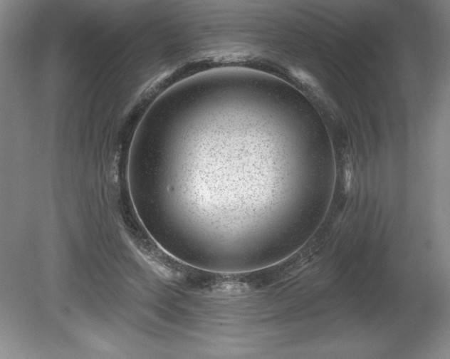 X0000081560543200701221029