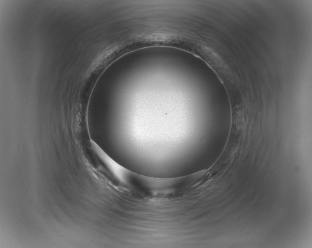 X0000081560544200701221029