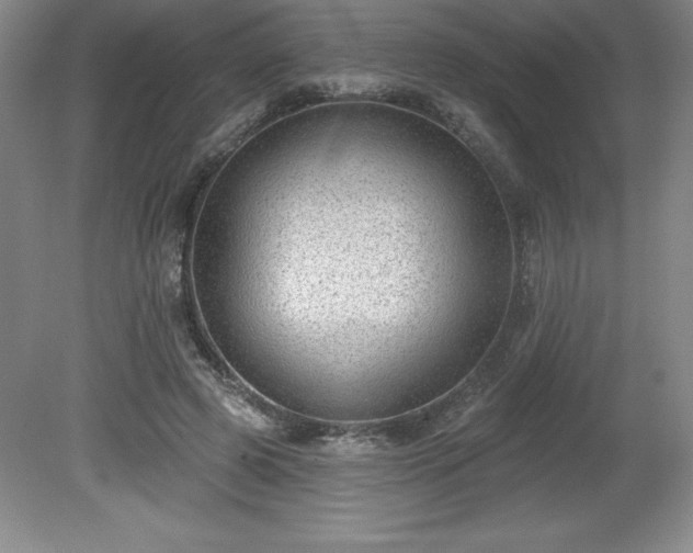 X0000081560545200701221029