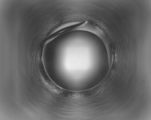 X0000081560546200701221029