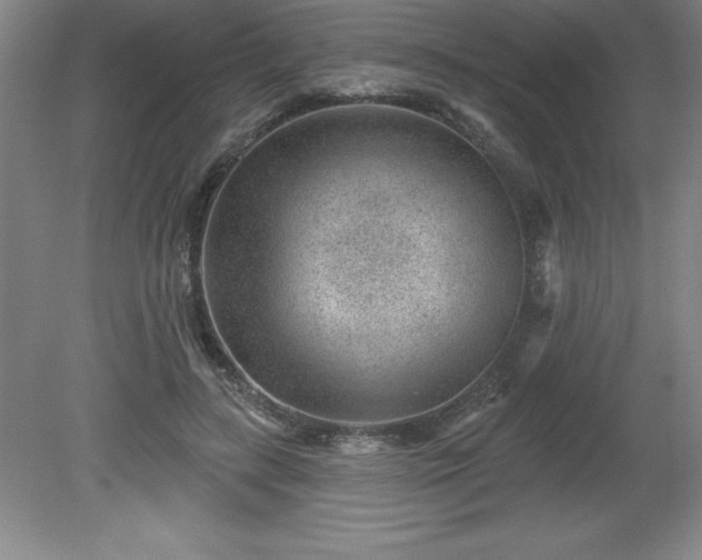 X0000081560547200701221029