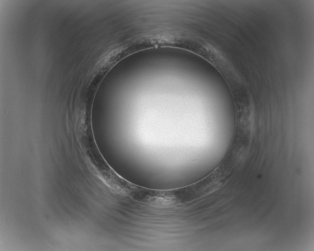 X0000081560548200701221029