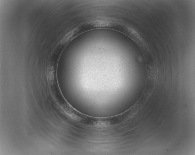 X0000081560549200701221029