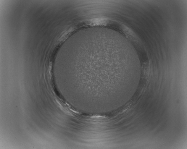 X0000081560550200701221029