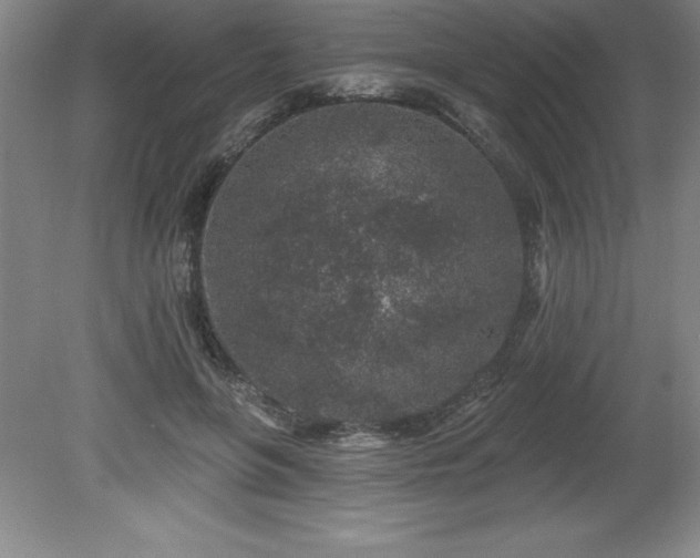 X0000081560551200701221030