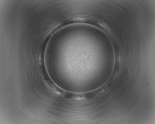 X0000081560552200701221030