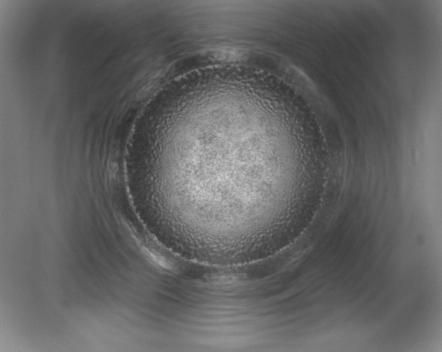 X0000081560553200701221030