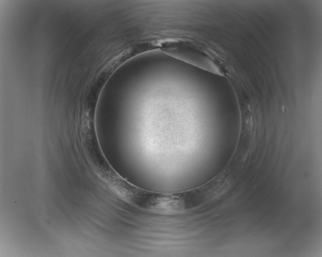 X0000081560555200701221030