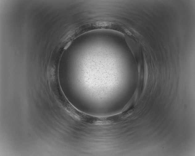 X0000081560556200701221030